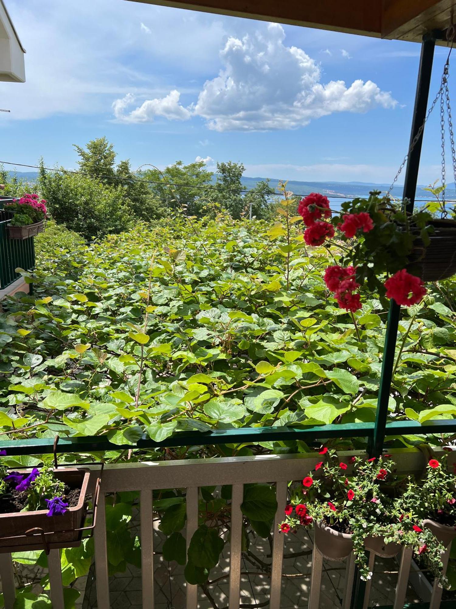 Apartman Ahmicic Crikvenica Dış mekan fotoğraf