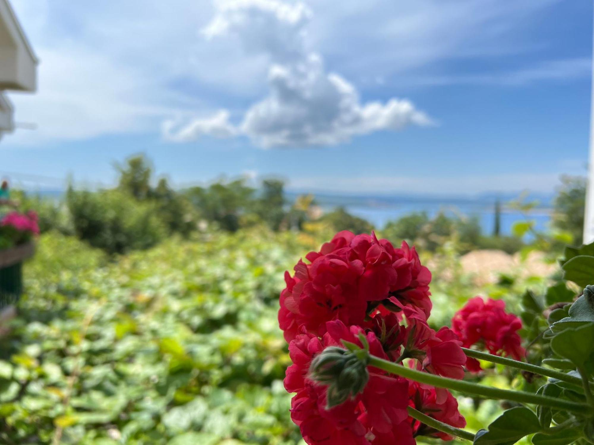 Apartman Ahmicic Crikvenica Dış mekan fotoğraf